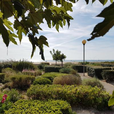 Mer et plage à 20 mètres