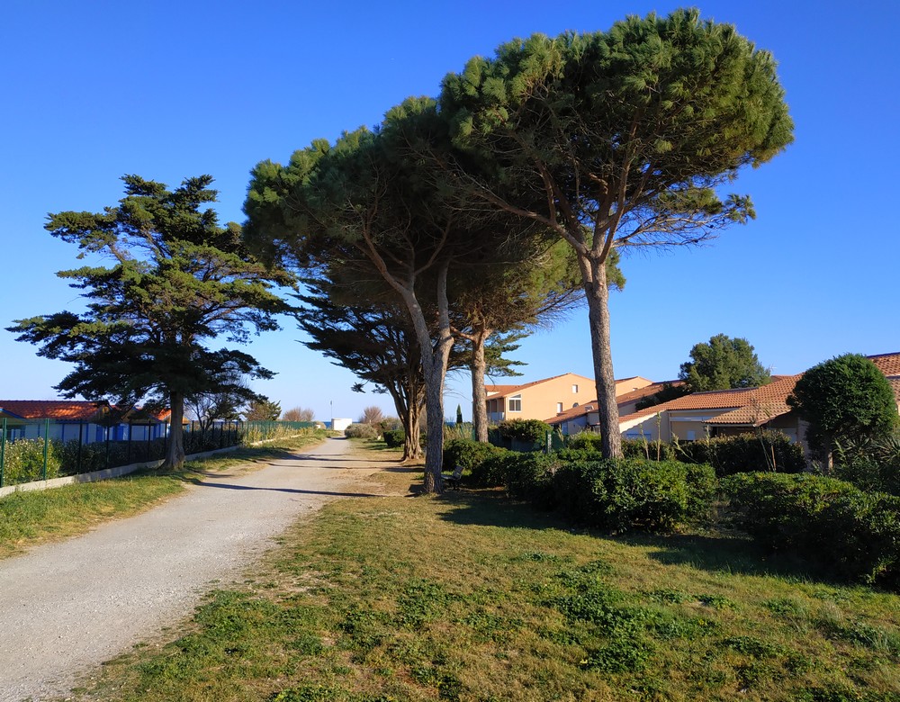 Allée vers la plage